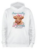 ADROIT CREATIONS APPARENT ATTITUDE HOODIE (WHITE)