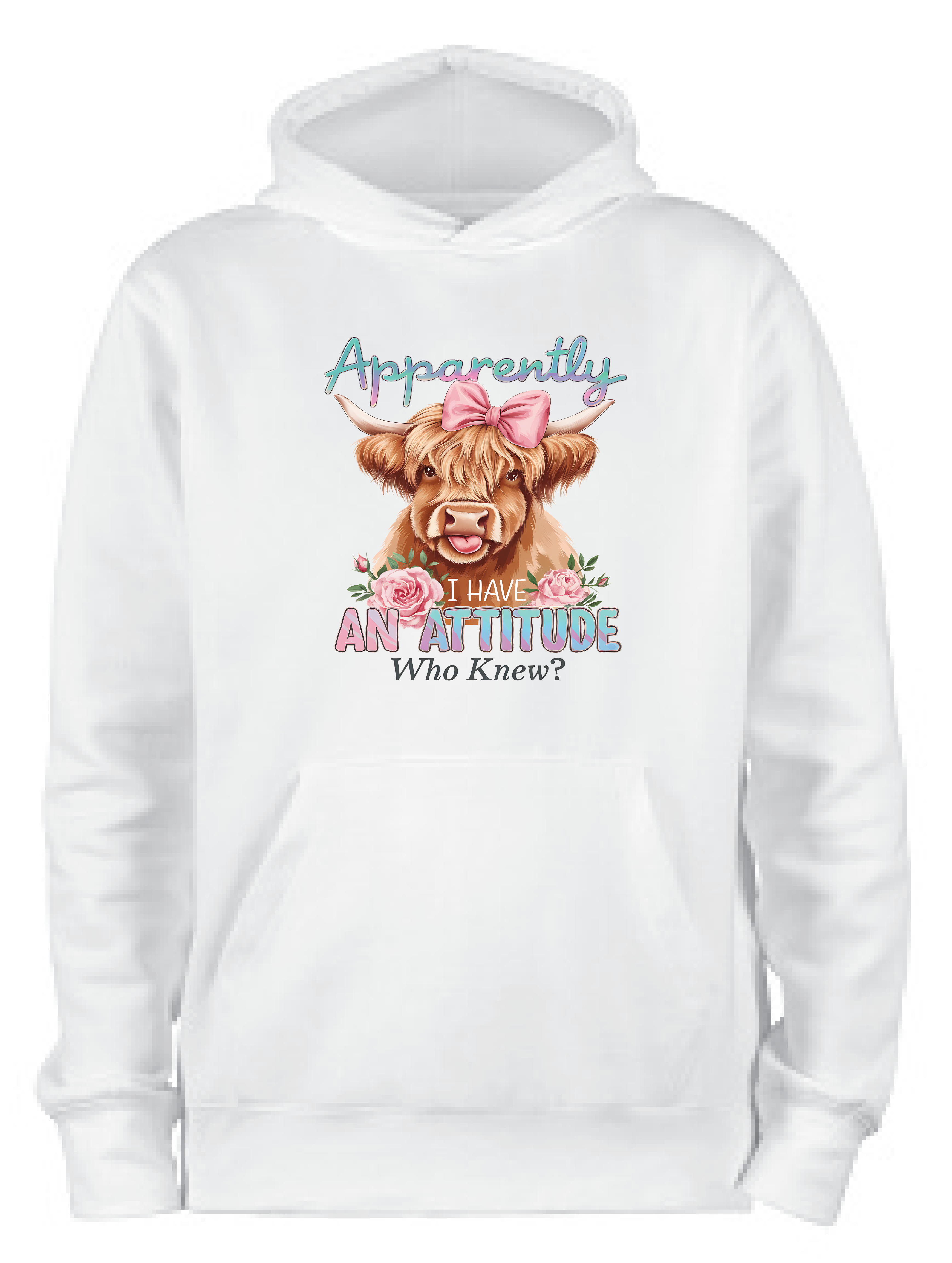 ADROIT KIDS APPARENT ATTITUDE HOODIE (WHITE)