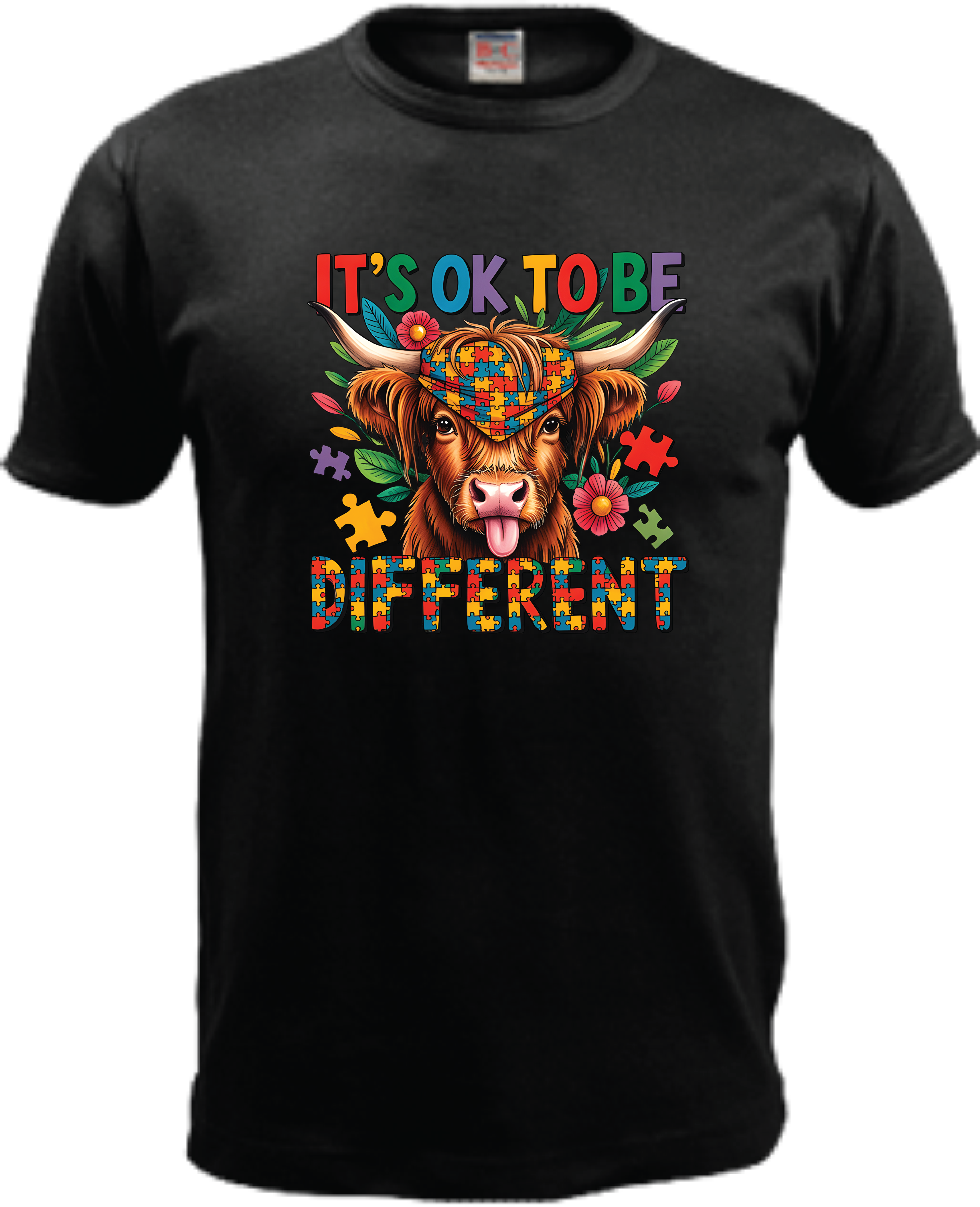 ADROIT CREATIONS IT'S OKAY TO BE DIFFERENT T-SHIRT (BLACK)