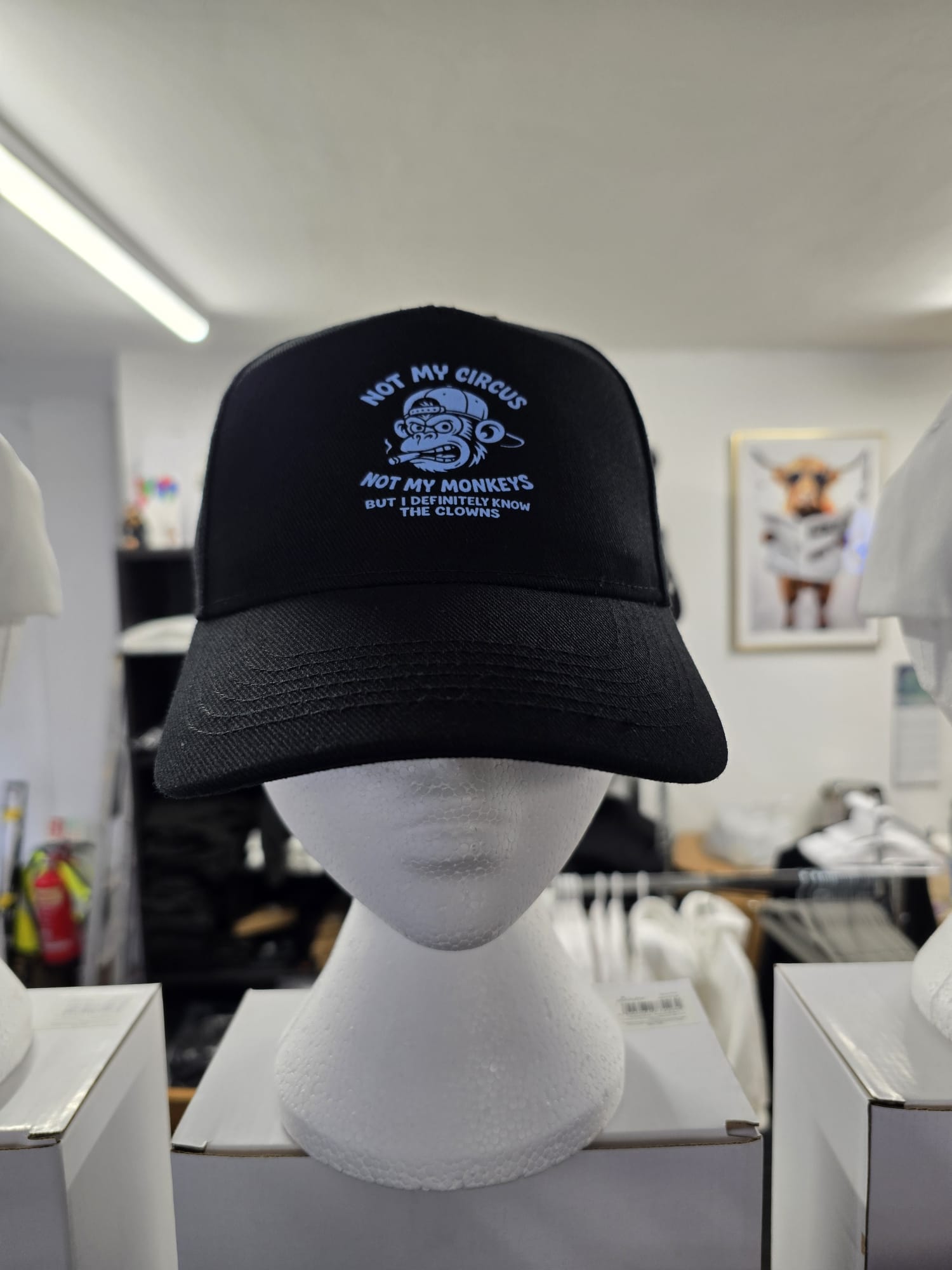 Adroit Clothing ‘Not My Circus’ adjustable adult baseball cap