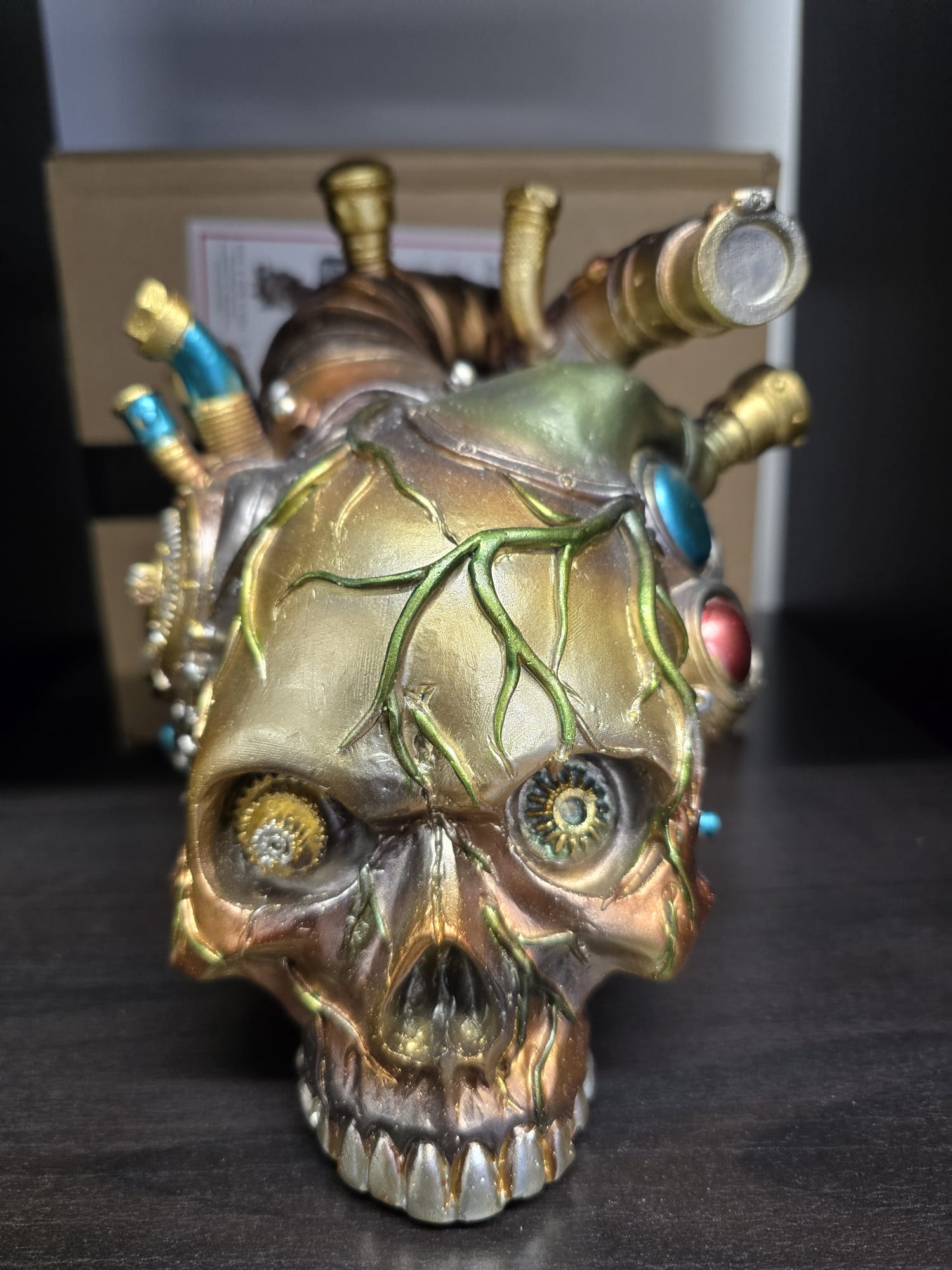 Cardiac Cranium Skull